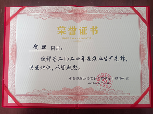 榮譽(yù)證書.jpg